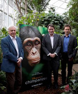 Chimpanzee-Interview