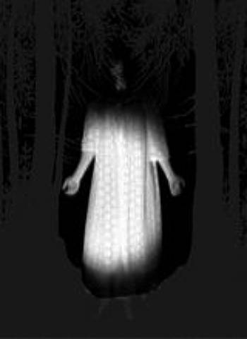 Shadow-Shows