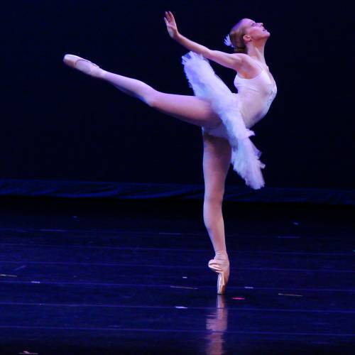 Swan-Lake-goes-3D