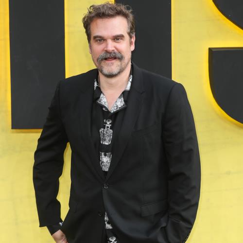 David Harbour asserts ‘false’ Millie Bobby Brown harassment claim article triggered ‘breakdown’
