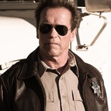 Schwarzenegger:-My-movie-characters-would-join-forces