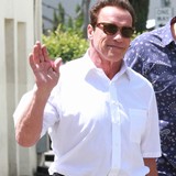 Schwarzenegger-not-rushing-divorce