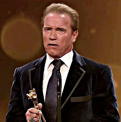 Arnold Schwarzenegger has praised the child cast of 'Kindergarten Cop' - Vimarsana News