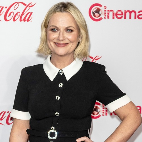 Amy Poehler reveals wild night out Down Under - Vimarsana News