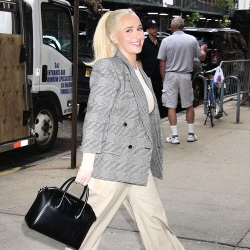 Brian Hickerson spotted for first time since girlfriend Hayden Panettiere's death