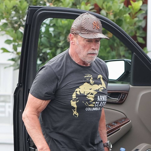 Arnold Schwarzenegger 'fine' after car accident thumbnail